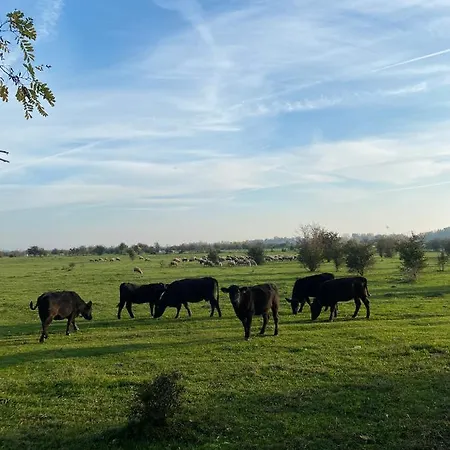 Zasavcanka Σπίτι διακοπών *