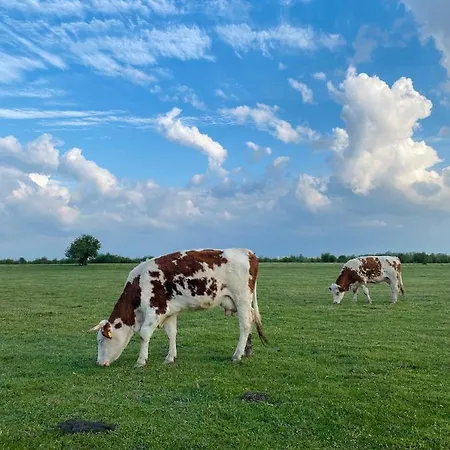 Semesterbostad Zasavcanka