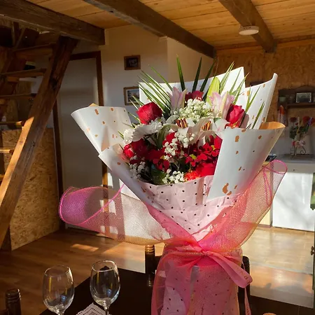 בית נופש Zasavcanka *