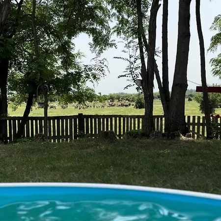 Zasavcanka Case de vacanță Sremska Mitrovica