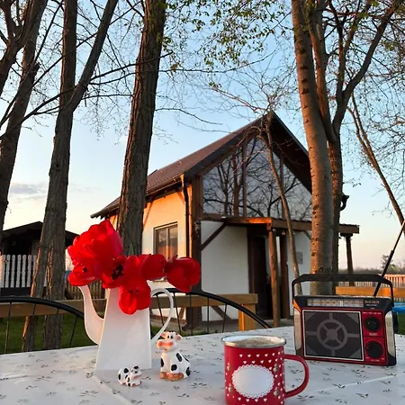 Zasavcanka Σρέμσκα Μιτρόβιτσα