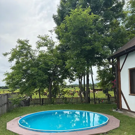 Zasavcanka * סרמסקה מיטרוביקה